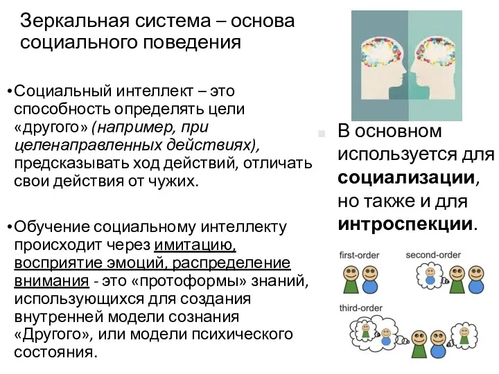 Зеркальная система – основа социального поведения Социальный интеллект – это