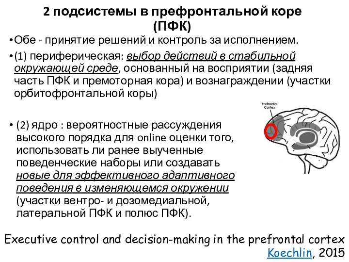 2 подсистемы в префронтальной коре (ПФК) Обе - принятие решений