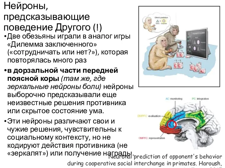 Нейроны, предсказывающие поведение Другого (!) Две обезьяны играли в аналог