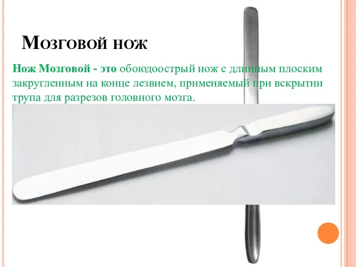 Мозговой нож Нож Мозговой - это обоюдоострый нож с длинным плоским закругленным на