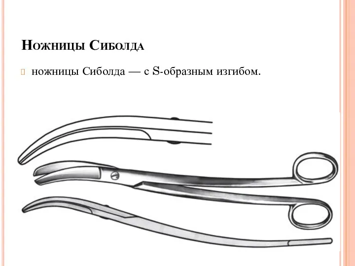 Ножницы Сиболда ножницы Сиболда — с S-образным изгибом.