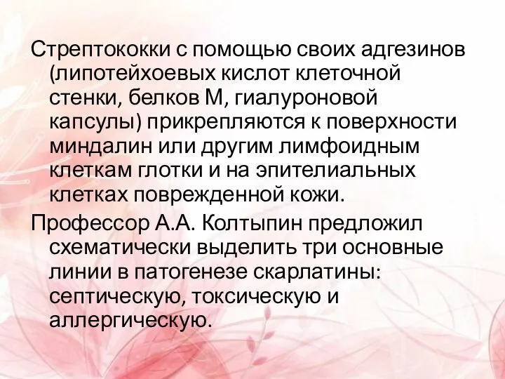 Стрептококки с помощью своих адгезинов (липотейхоевых кислот клеточной стенки, белков