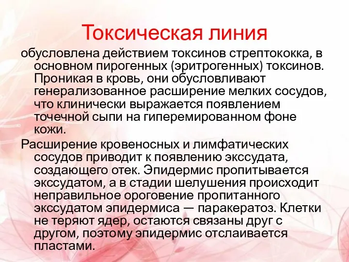 Токсическая линия обусловлена действием токсинов стрептококка, в основном пирогенных (эритрогенных)