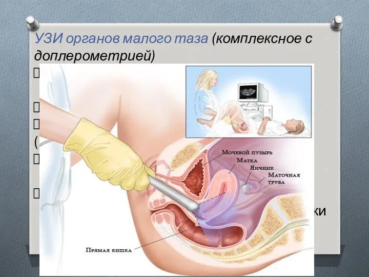 УЗИ органов малого таза (комплексное с доплерометрией) размеры матки и