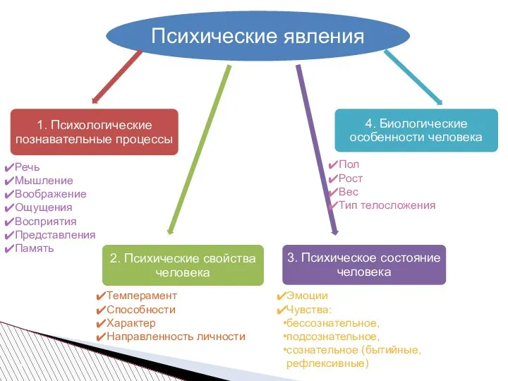 Психические явления 1. Психологические познавательные процессы 2. Психические свойства человека