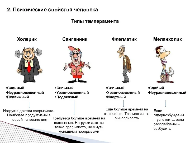 2. Психические свойства человека Типы темперамента Холерик Сангвиник Флегматик Меланхолик