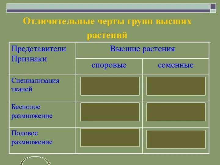 Отличительные черты групп высших растений