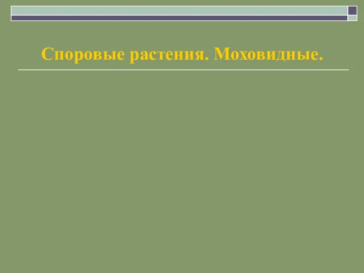 Споровые растения. Моховидные.