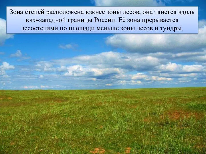 Зона степей расположена южнее зоны лесов, она тянется вдоль юго-западной