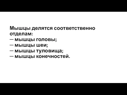 Мышцы делятся соответственно отделам: ─ мышцы головы; ─ мышцы шеи; ─ мышцы туловища; ─ мышцы конечностей.