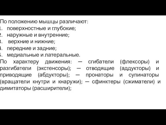 По положению мышцы различают: поверхностные и глубокие; наружные и внутренние;