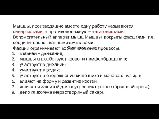 Мышцы, производящие вместе одну работу называются синергистами, а противоположную –