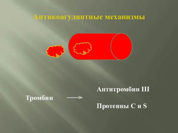 Антикоагулянтные механизмы Антитромбин III Протеины С и S Тромбин