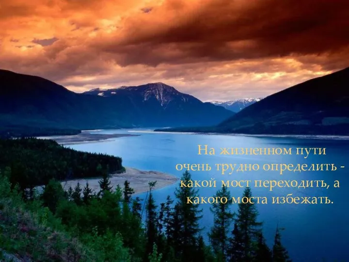 На жизненном пути очень трудно определить - какой мост переходить, а какого моста избежать.