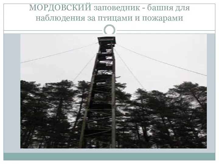 МОРДОВСКИЙ заповедник - башня для наблюдения за птицами и пожарами