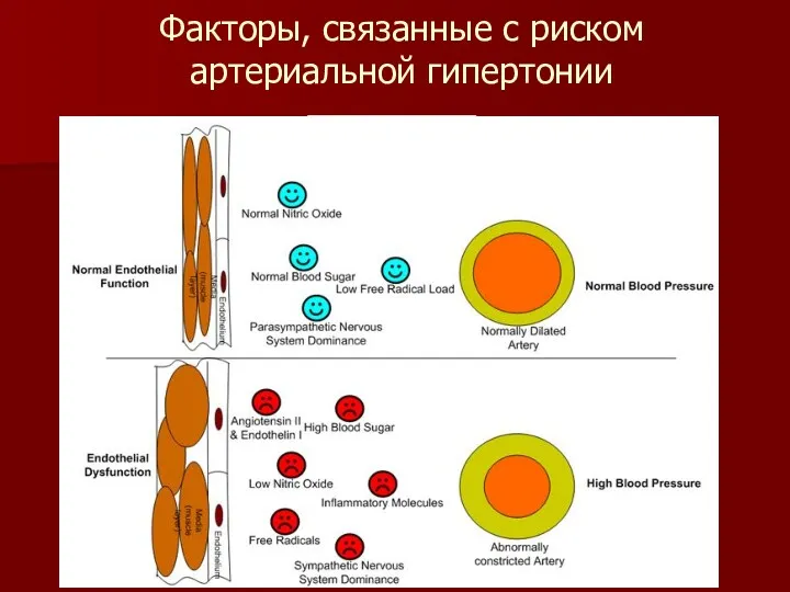 Факторы, связанные с риском артериальной гипертонии