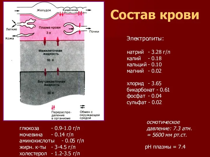 Электролиты: натрий - 3.28 г/л калий - 0.18 кальций -