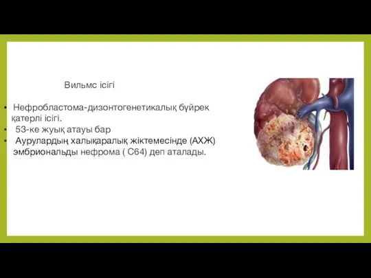 Вильмс ісігі Нефробластома-дизонтогенетикалық бүйрек қатерлі ісігі. 53-ке жуық атауы бар