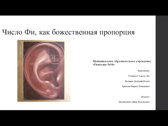 Число Фи, как божественная пропорция Выполнили: Ученики 7 класса «Б»