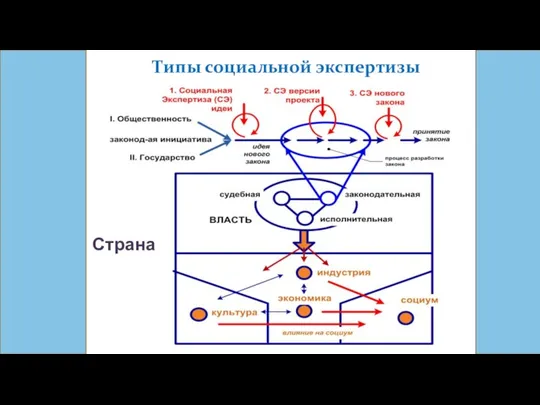 Типы социальной экспертизы Страна