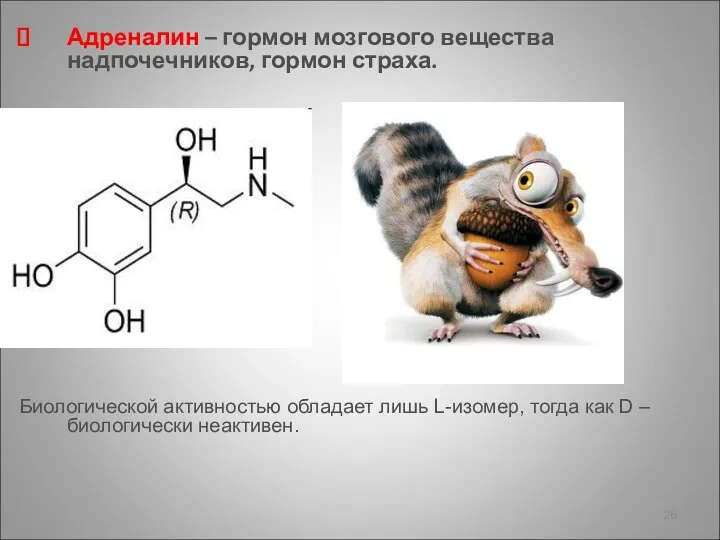 Адреналин – гормон мозгового вещества надпочечников, гормон страха. С Биологической