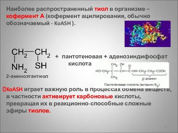 Наиболее распространенный тиол в организме – кофермент А (кофермент ацилирования,