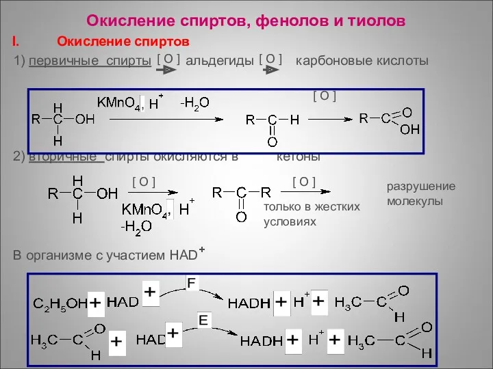 Окисление спиртов, фенолов и тиолов Окисление спиртов 1) первичные спирты