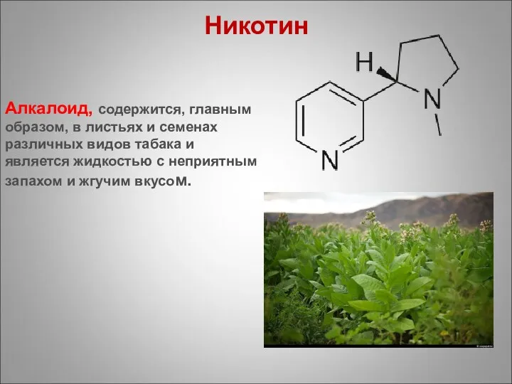 Алкалоид, содержится, главным образом, в листьях и семенах различных видов