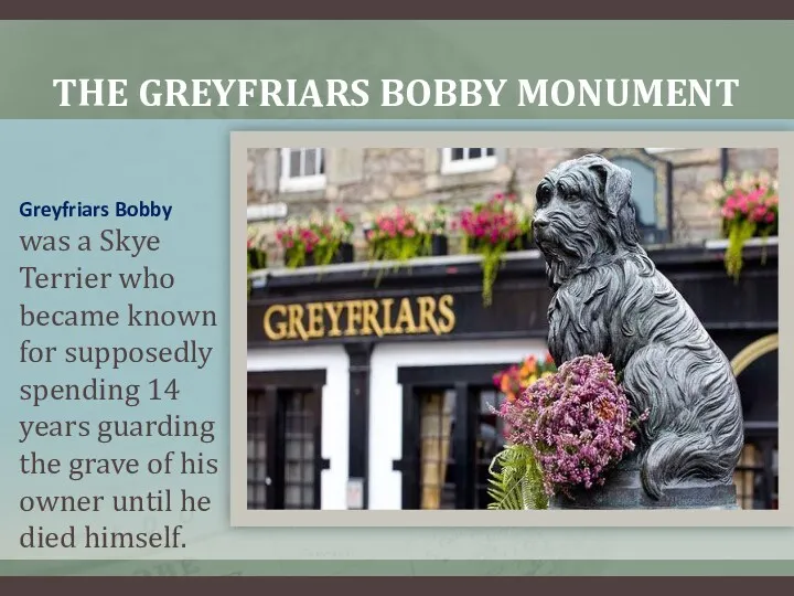 THE GREYFRIARS BOBBY MONUMENT Greyfriars Bobby was a Skye Terrier