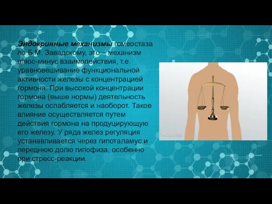 Эндокринные механизмы гомеостаза по Б.М. Завадскому, это – механизм плюс-минус