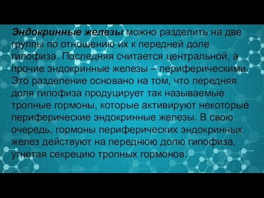 Эндокринные железы можно разделить на две группы по отношению их