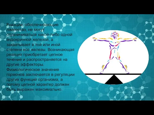 Реакции, обеспечивающие гомеостаз, не могут ограничиваться какой-либо одной эндокринной железой,