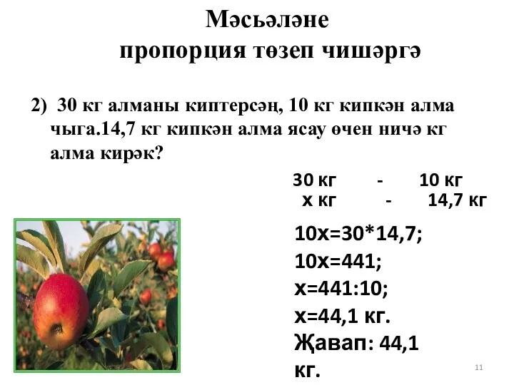 2) 30 кг алманы киптерсәң, 10 кг кипкән алма чыга.14,7