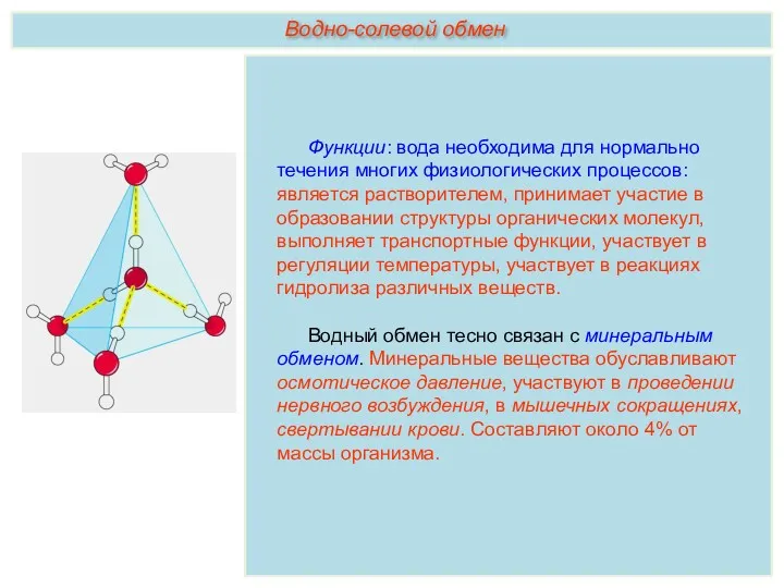 Функции: вода необходима для нормально течения многих физиологических процессов: является