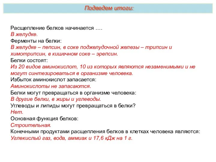 Расщепление белков начинается …. В желудке. Ферменты на белки: В