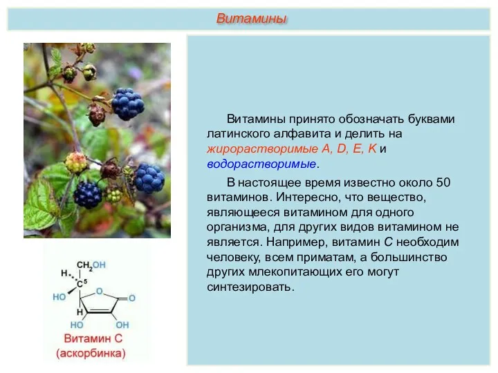 Витамины принято обозначать буквами латинского алфавита и делить на жирорастворимые