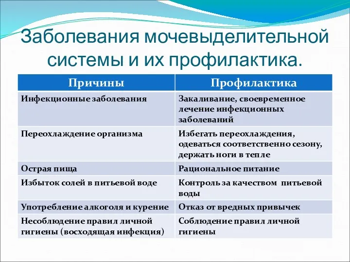 Заболевания мочевыделительной системы и их профилактика.