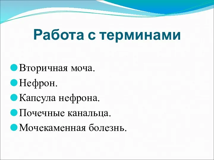 Работа с терминами Вторичная моча. Нефрон. Капсула нефрона. Почечные канальца. Мочекаменная болезнь.