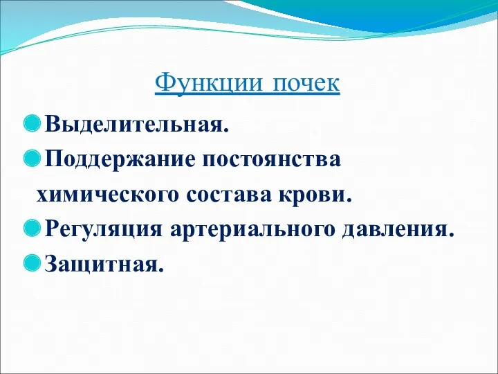 Функции почек Выделительная. Поддержание постоянства химического состава крови. Регуляция артериального давления. Защитная.