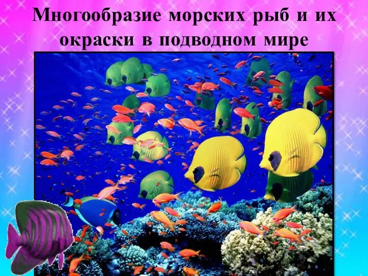 Многообразие морских рыб и их окраски в подводном мире