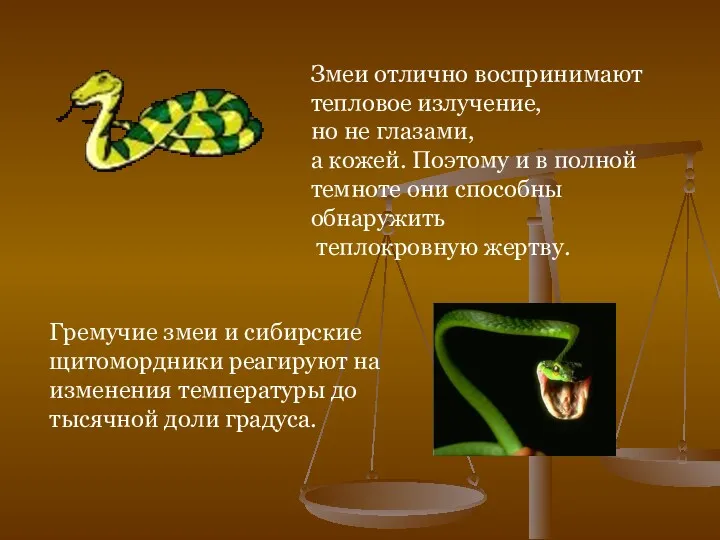 Змеи отлично воспринимают тепловое излучение, но не глазами, а кожей. Поэтому и в