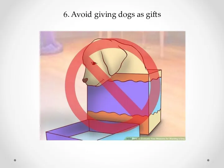 6. Avoid giving dogs as gifts