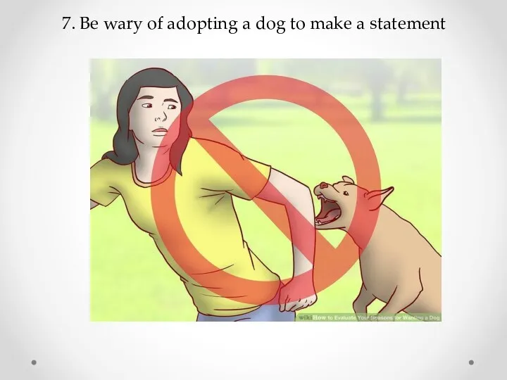 7. Be wary of adopting a dog to make a statement