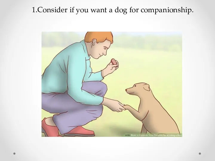 1.Consider if you want a dog for companionship.