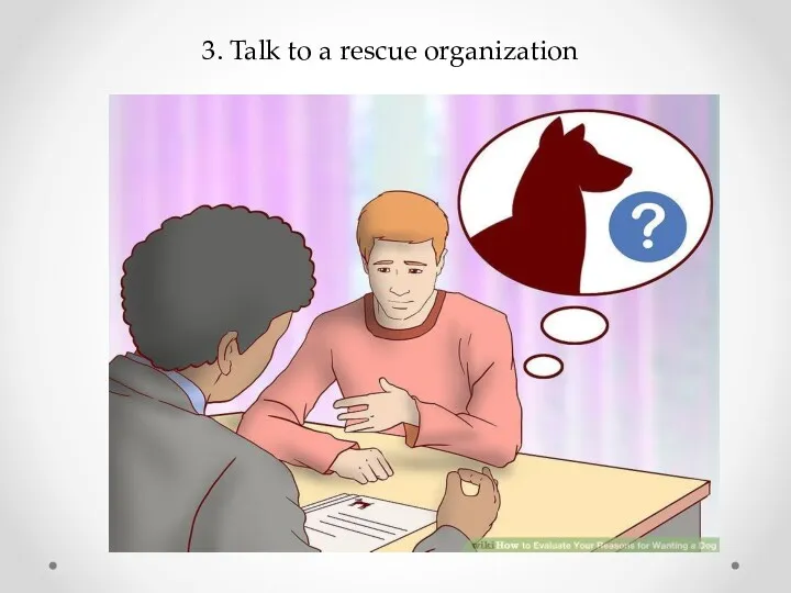 3. Talk to a rescue organization