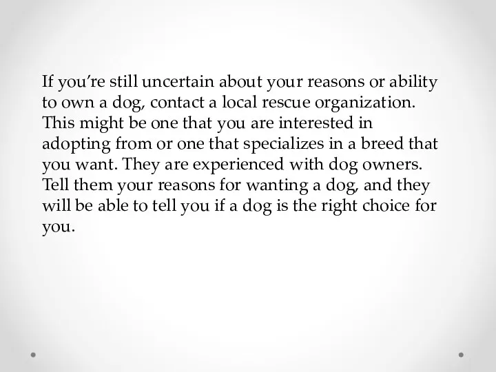 If you’re still uncertain about your reasons or ability to own a dog,