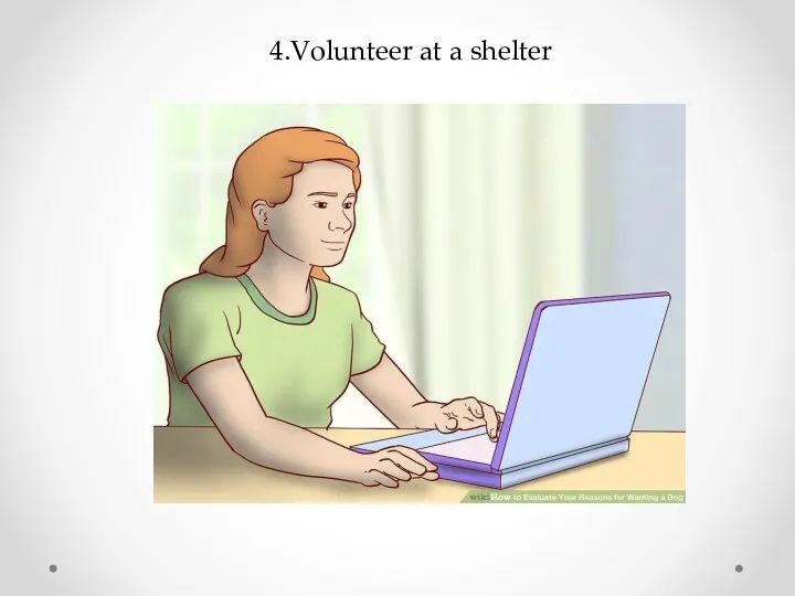 4.Volunteer at a shelter