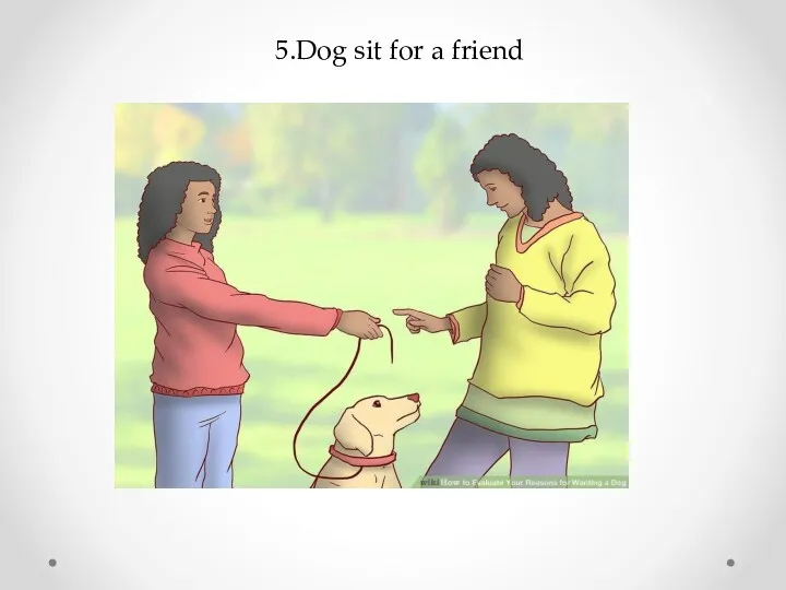 5.Dog sit for a friend