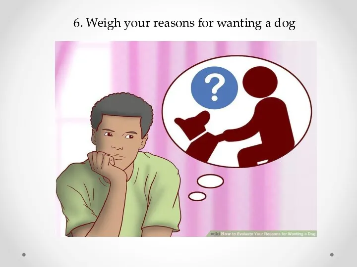 6. Weigh your reasons for wanting a dog