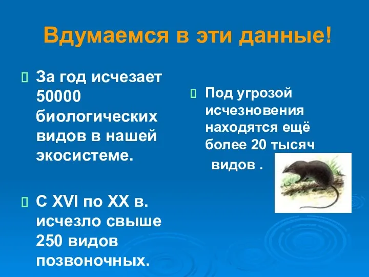 Вдумаемся в эти данные! За год исчезает 50000 биологических видов